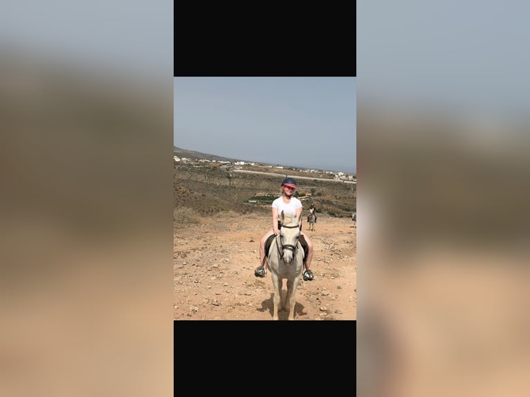 Suche Reitbeteiligung