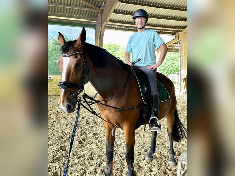 suche Reiteiligung Nähe D-Gerresheim (PLZ 40625)