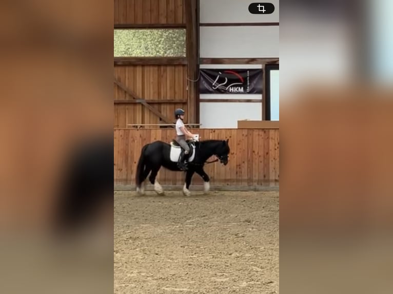 Suchen Reitbeteiligung