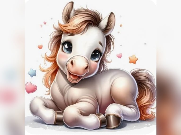 Suchen Reitbeteiligung/Pferd zur Verfügung Rhein-Main-Gebiet