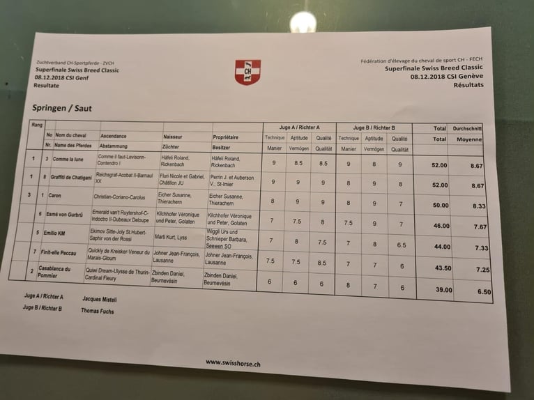 Szwajcarski koń sportowy Wałach 10 lat 177 cm Gniada in Lyss