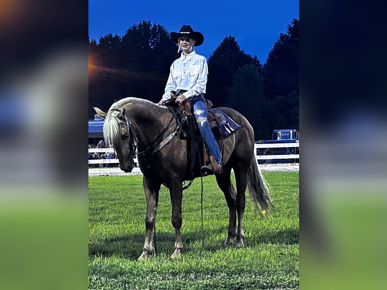 Tennessee walking horse Caballo castrado 6 años 147 cm Alazán-tostado in Whitley City, KY