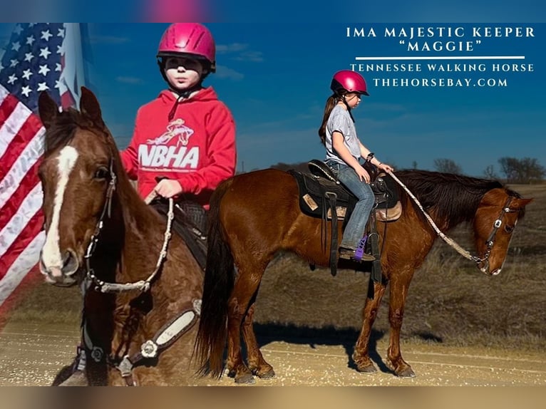 Tennessee walking horse Yegua 10 años 152 cm Alazán rojizo in Lisbon, IA