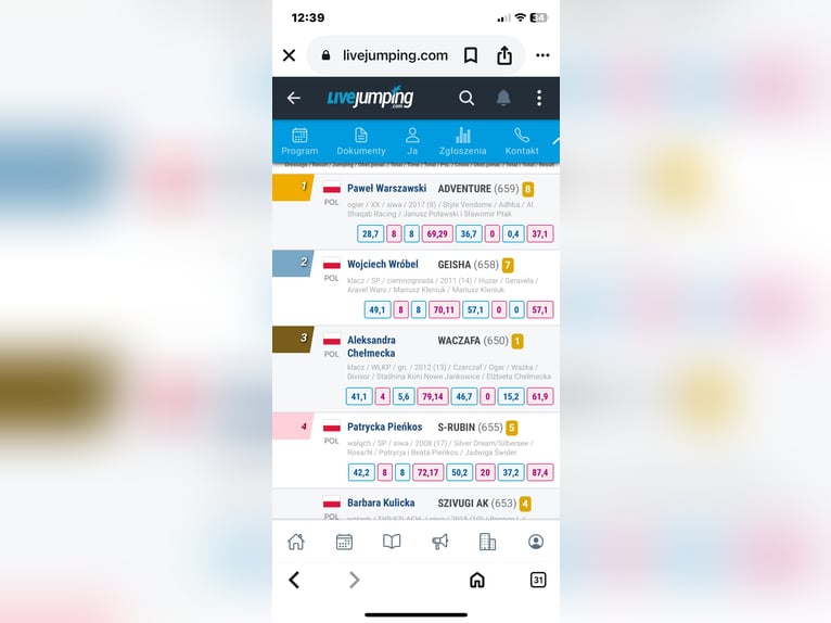 Thoroughbred Gelding 9 years 17 hh Grey in Baborówko