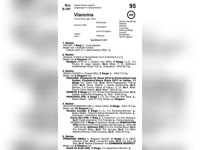 Thoroughbred Mare 3 years 16 hh Chestnut-Red in Neuenhagen bei Berlin