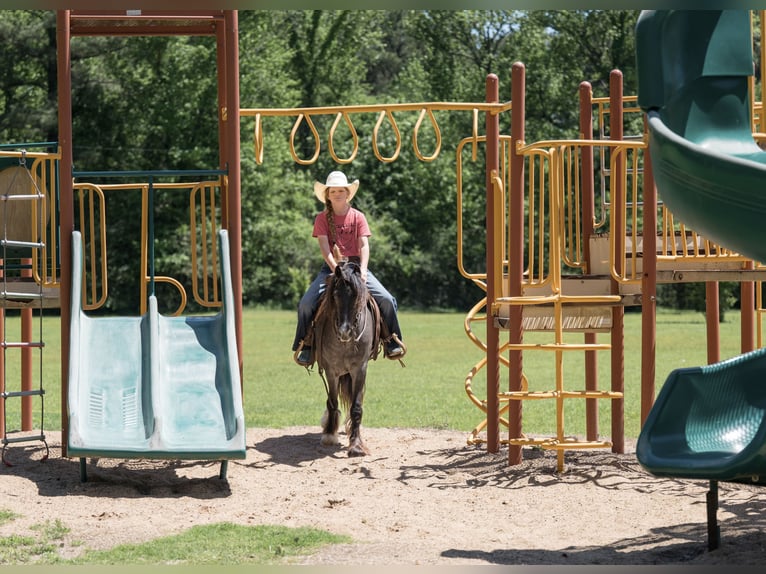 Tinker Mestizo Caballo castrado 4 años Ruano azulado in Bloomburg