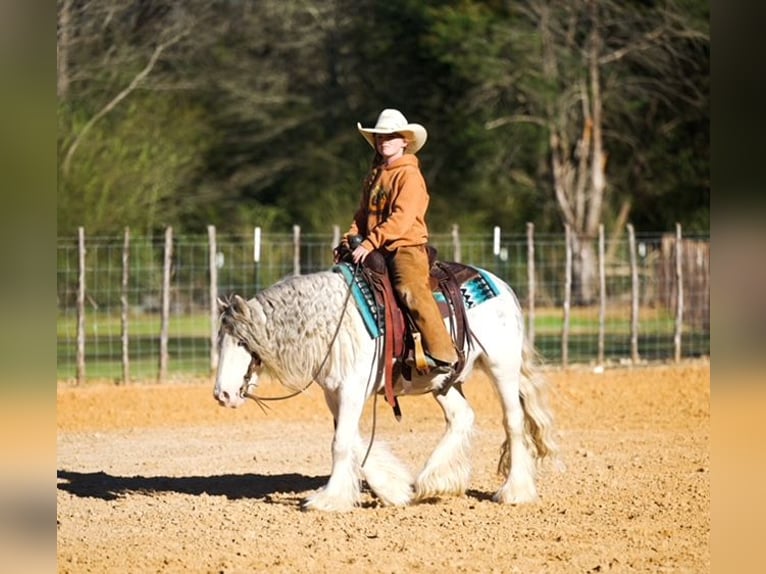 Tinker Caballo castrado 5 años 127 cm Sabino in Bloomburg