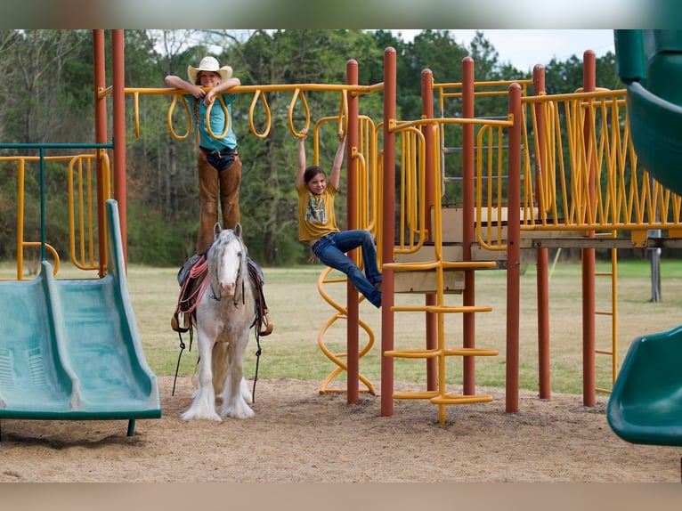 Tinker Caballo castrado 5 años 127 cm Sabino in Bloomburg