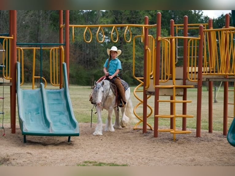 Tinker Caballo castrado 5 años 127 cm Sabino in Bloomburg