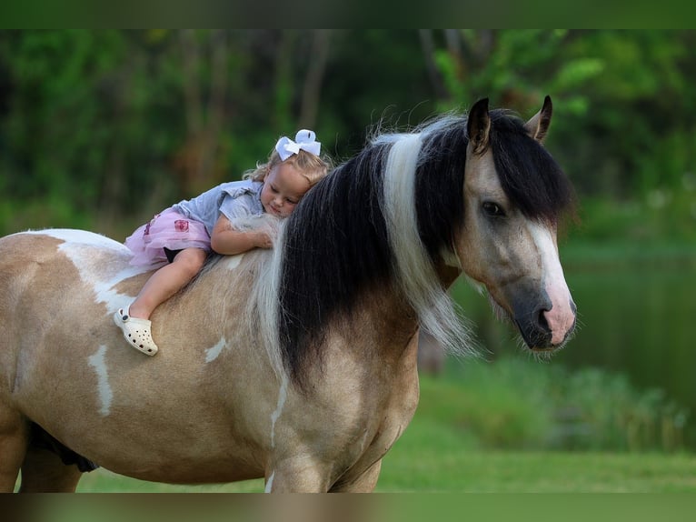 Tinker Caballo castrado 5 años 135 cm Tobiano-todas las-capas in Forney