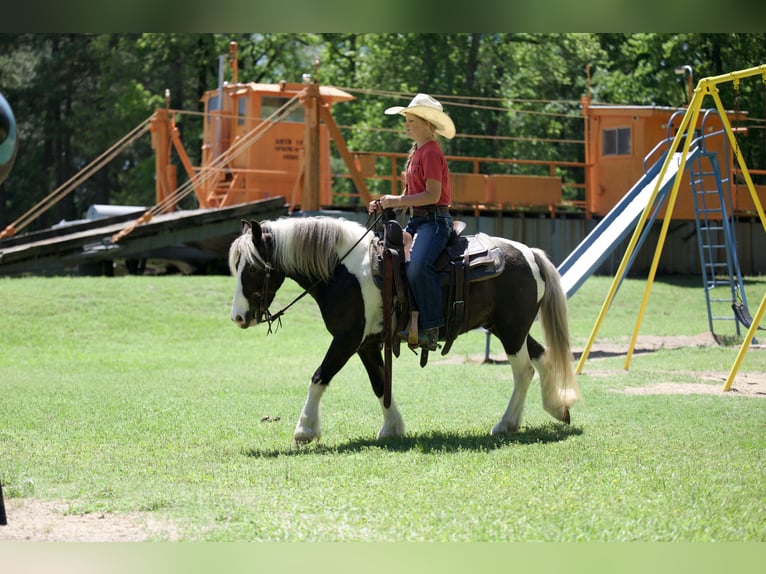 Tinker Mestizo Caballo castrado 5 años  in Bloomburg, TX