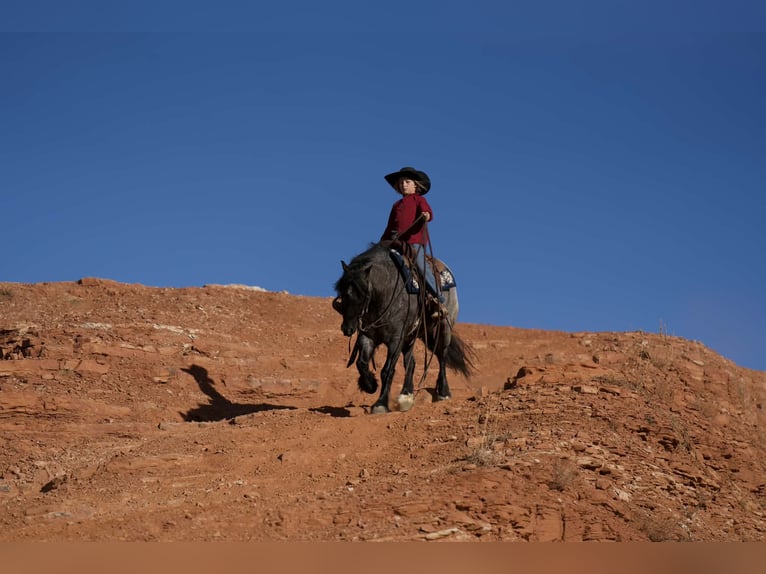Tinker Mestizo Caballo castrado 6 años 135 cm Ruano azulado in Canyon, TX