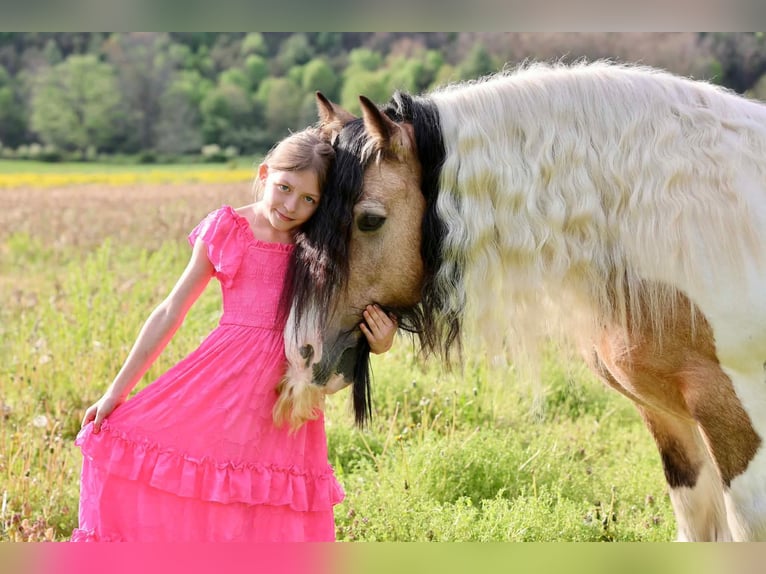 Tinker Hongre 13 Ans 142 cm Pinto in Beaver Springs