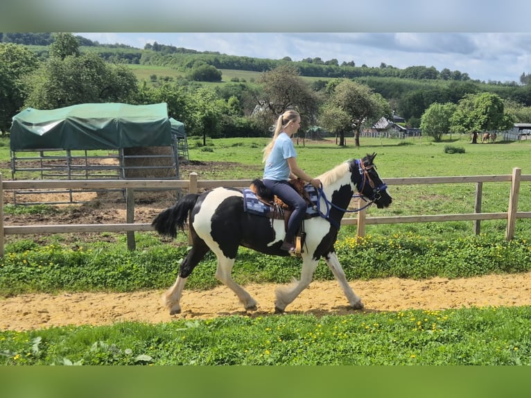 Tinker Croisé Hongre 14 Ans 156 cm Pinto in Linkenbach