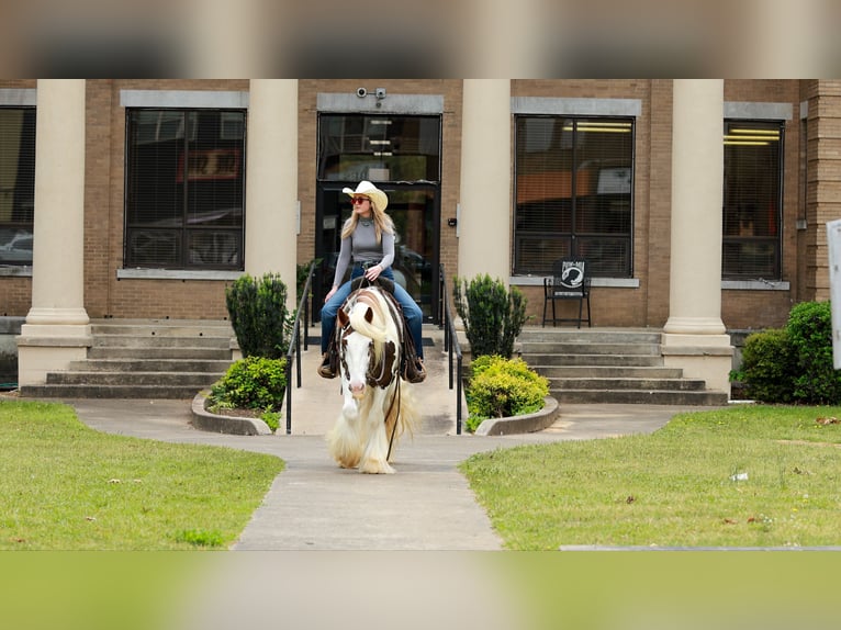 Tinker Hongre 3 Ans 142 cm Tobiano-toutes couleurs in Quitman, AR