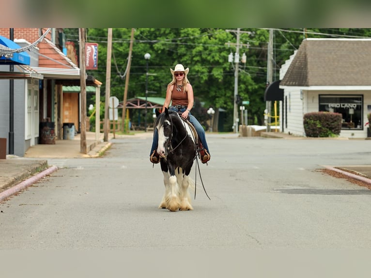 Tinker Hongre 4 Ans Pinto in Quitman