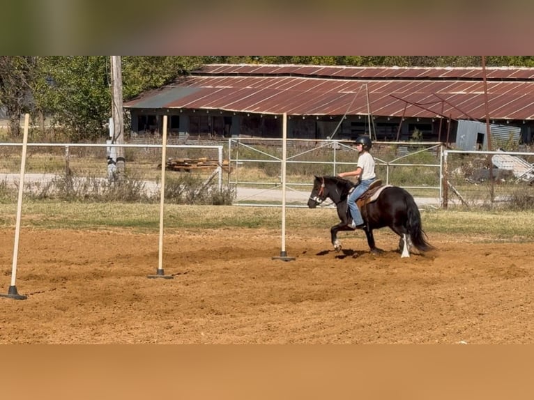 Tinker Croisé Hongre 5 Ans 122 cm Pinto in Weatherford