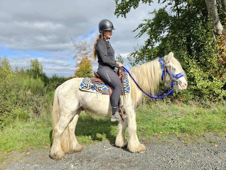 Tinker Hongre 5 Ans 143 cm Pinto in Linkenbach