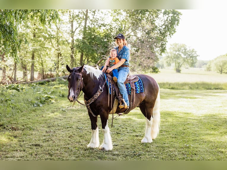 Tinker Hongre 5 Ans 152 cm Tobiano-toutes couleurs in Half Way, MO