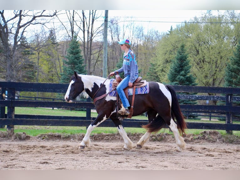 Tinker Hongre 5 Ans Tobiano-toutes couleurs in Howell MI
