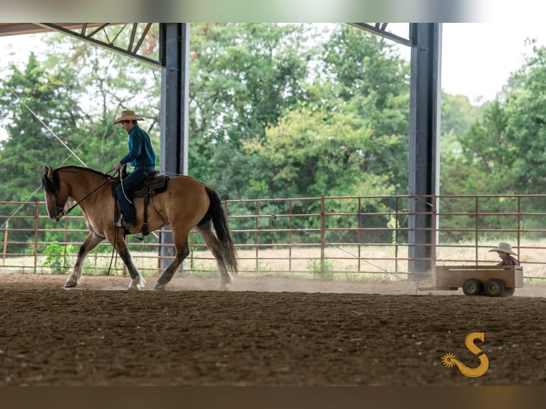 Tinker Croisé Hongre 9 Ans 160 cm Isabelle in Bogard, MO