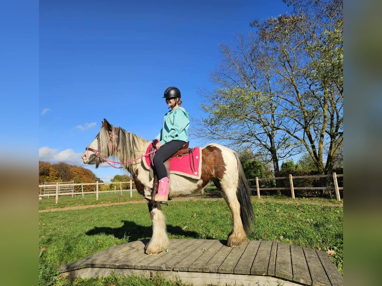 Tinker Jument 10 Ans 144 cm Pinto in Linkenbach