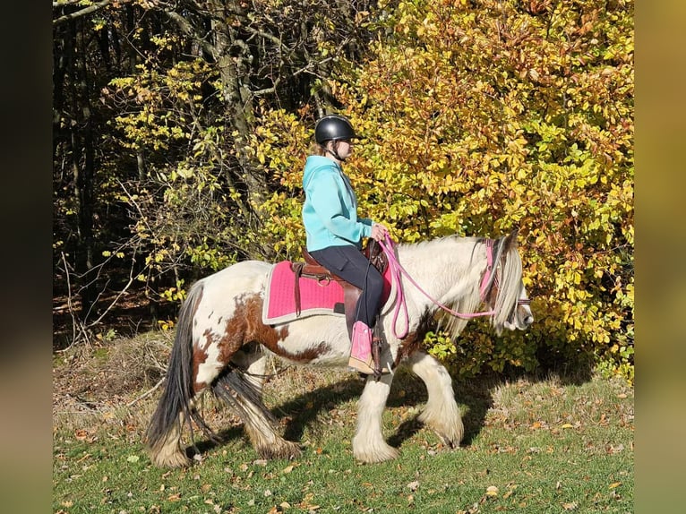 Tinker Jument 10 Ans 144 cm Pinto in Linkenbach