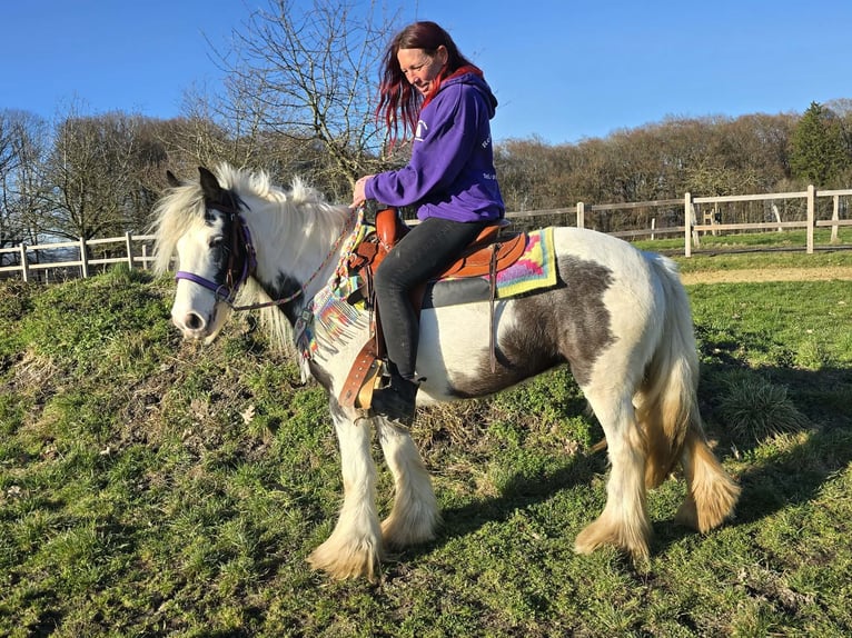 Tinker Jument 11 Ans 140 cm Pinto in Linkenbach