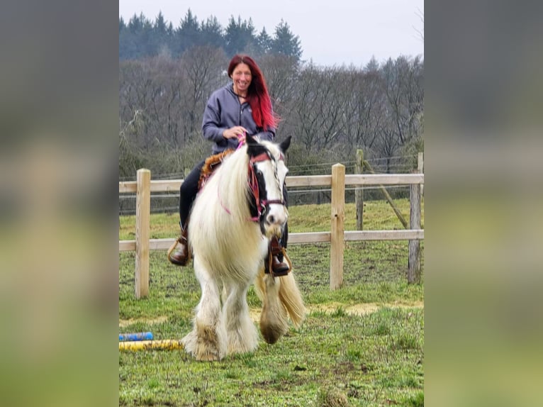 Tinker Jument 15 Ans 146 cm Pinto in Linkenbach