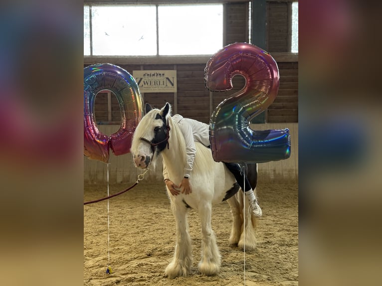 Tinker Jument 16 Ans 130 cm Pinto in Bad blumau