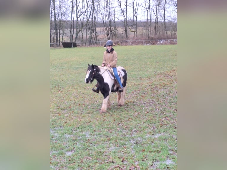 Tinker Jument 17 Ans 125 cm Pinto in Niederbrombach