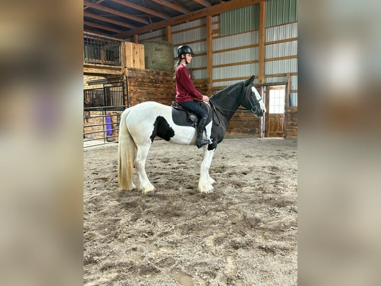 Tinker Jument 3 Ans Pinto in Clearville