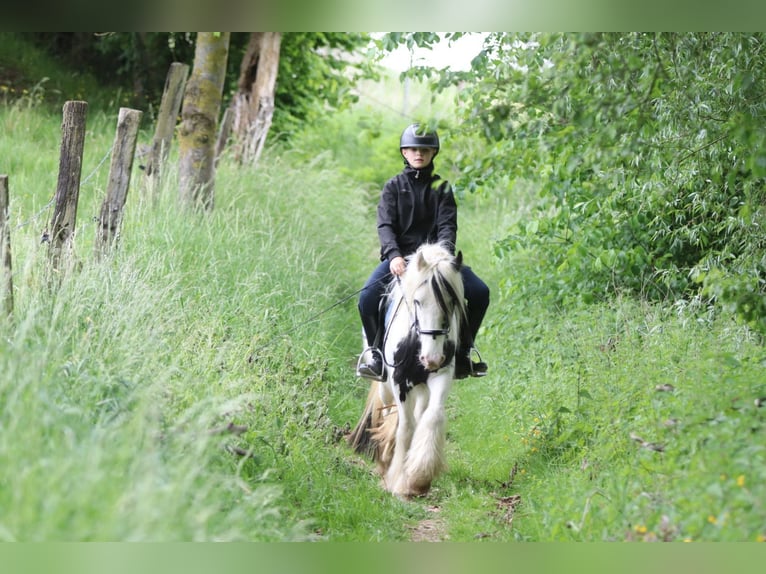 Tinker Jument 4 Ans 128 cm Pinto in Bogaarden