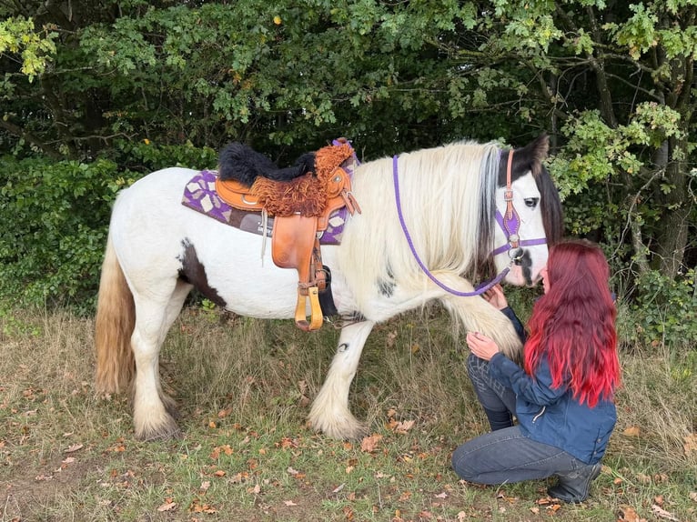 Tinker Jument 4 Ans 142 cm Pinto in Linkenbach