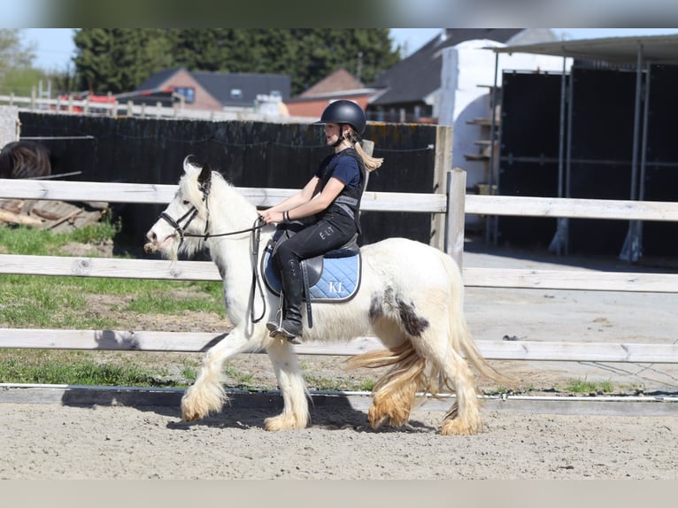 Tinker Jument 5 Ans 122 cm Pinto in Pepingen