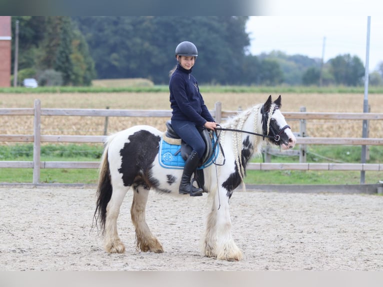 Tinker Jument 5 Ans 127 cm Pinto in Bogaarden