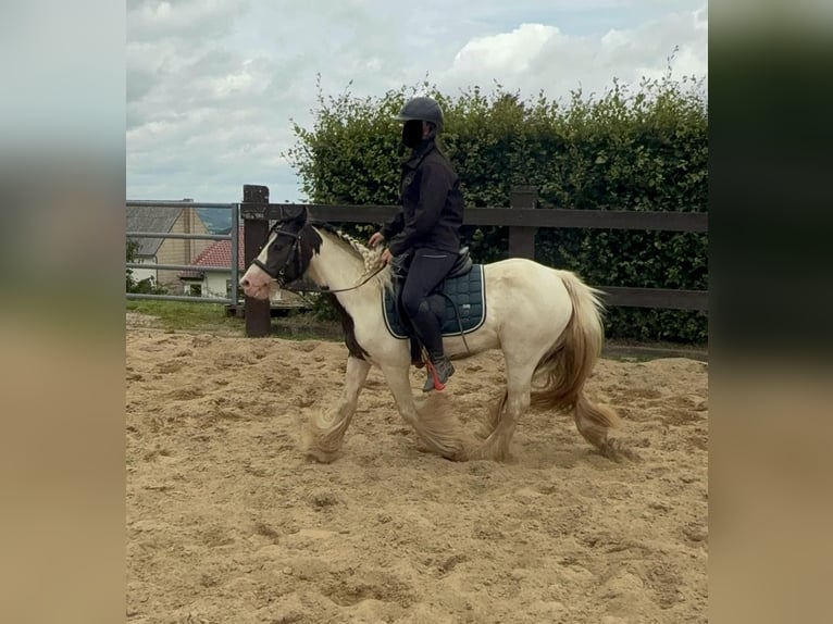 Tinker Jument 5 Ans 132 cm Pinto in Daleiden