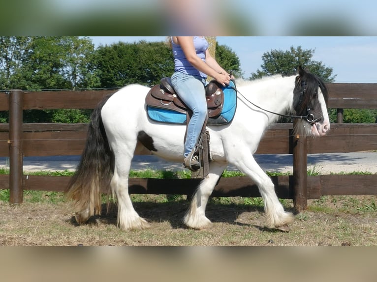 Tinker Jument 5 Ans 136 cm Pinto in Lathen