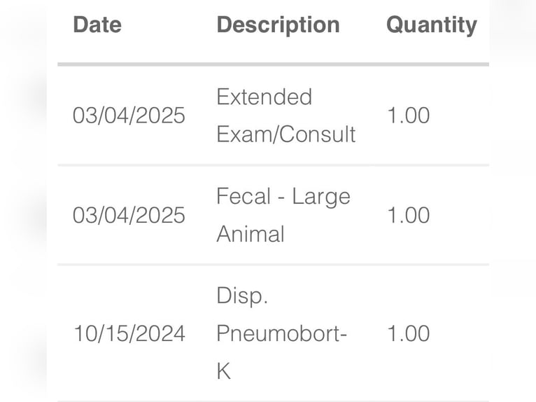 Tinker Jument 5 Ans 137 cm Alezan brûlé in De Soto