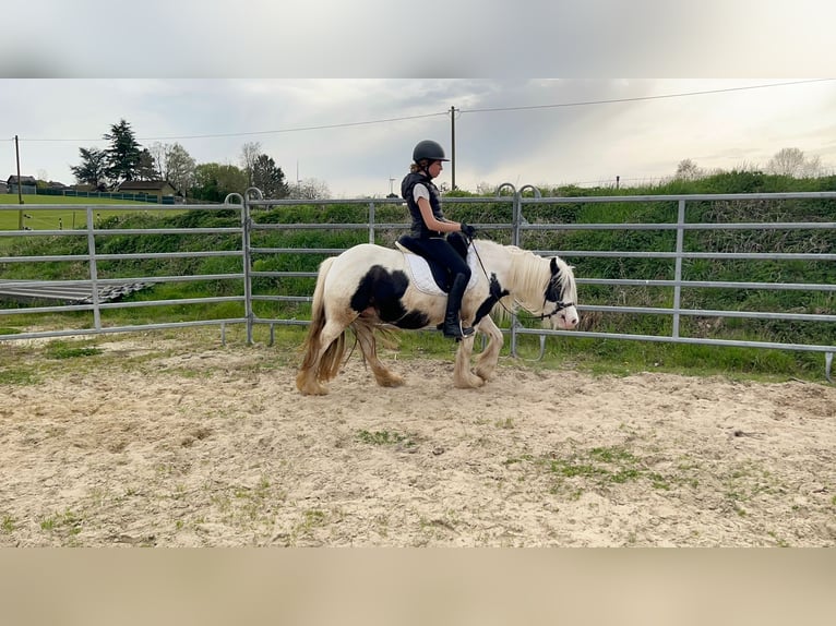Tinker Jument 6 Ans 130 cm Pinto in Heinsberg