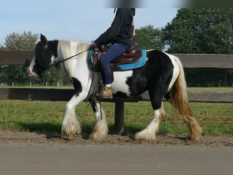 Tinker Jument 6 Ans 132 cm Pinto in Lathen
