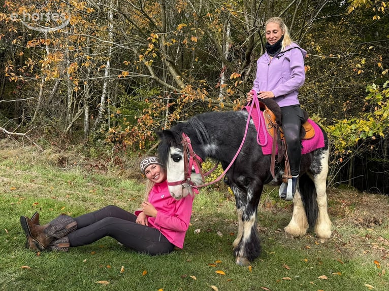 Tinker Jument 7 Ans 131 cm Pinto in Linkenbach