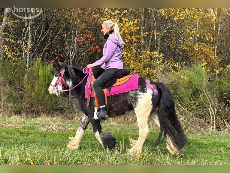 Tinker Jument 7 Ans 131 cm Pinto in Linkenbach
