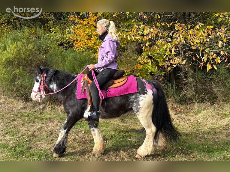 Tinker Jument 7 Ans 131 cm Pinto in Linkenbach