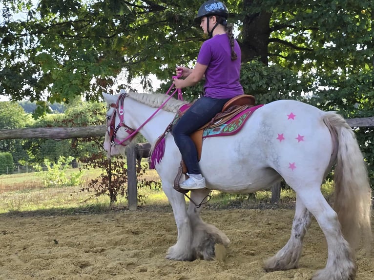 Tinker Jument 7 Ans 142 cm Pinto in Linkenbach