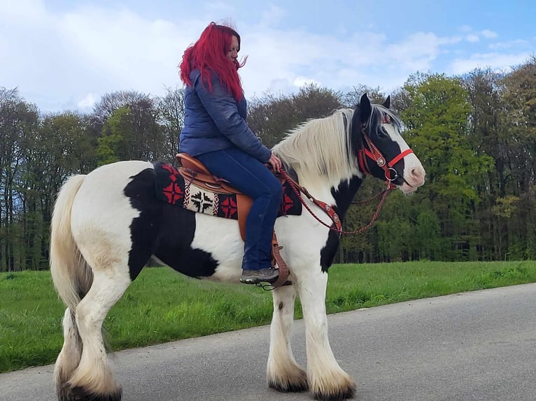 Tinker Jument 7 Ans 145 cm Pinto in Linkenbach