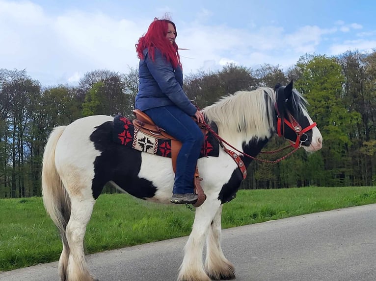 Tinker Jument 7 Ans 145 cm Pinto in Linkenbach