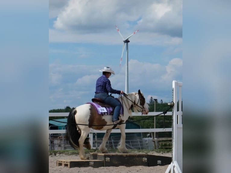 Tinker Jument 7 Ans 146 cm Pinto in Laubach