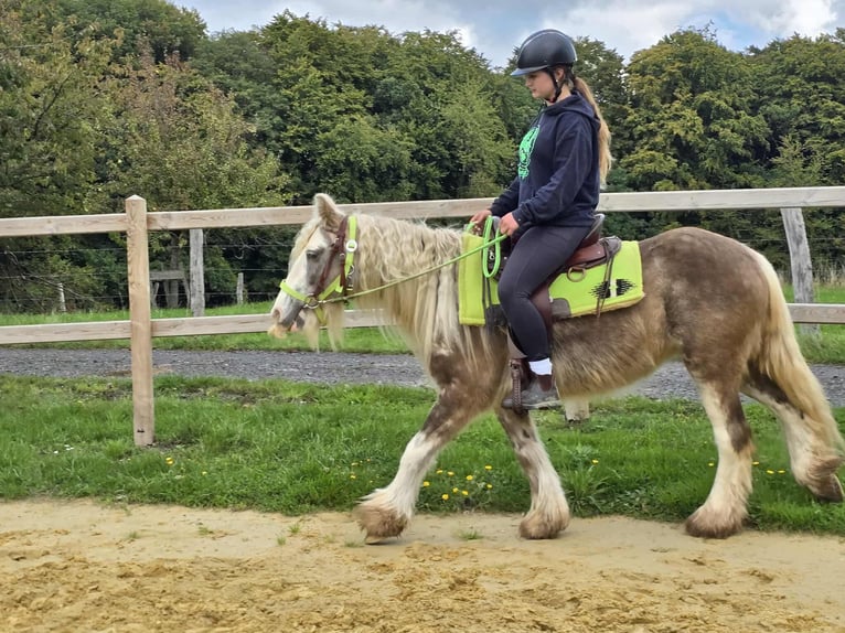 Tinker Jument 7 Ans Palomino in Linkenbach