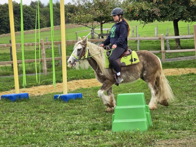 Tinker Jument 7 Ans Palomino in Linkenbach